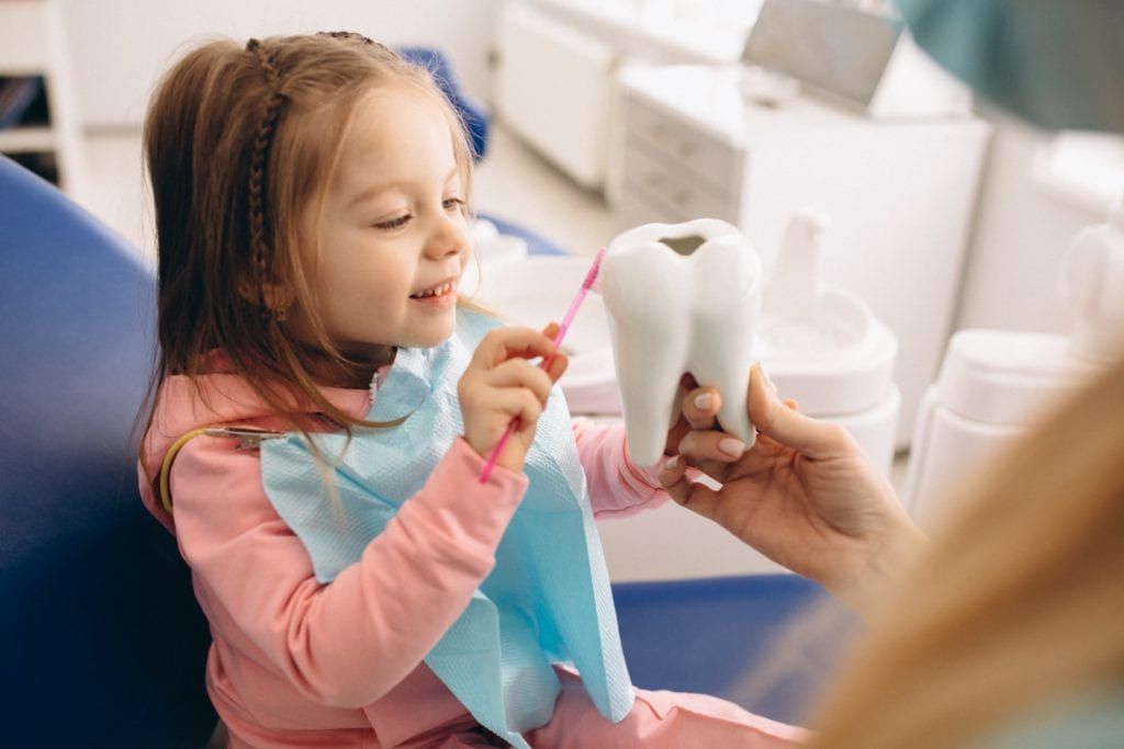 Little girl learning to brush her teeth  using a tooth model
