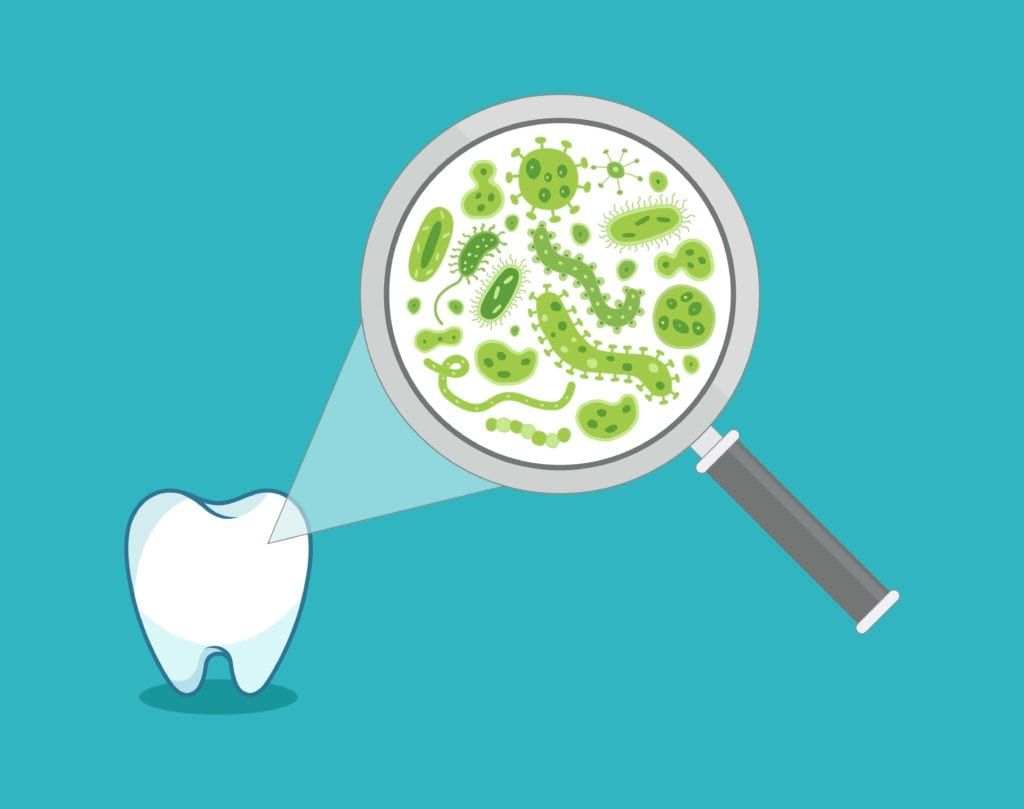 cartoon magnifying glass showing bacteria on a cartoon tooth